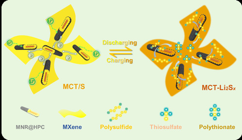 图3. MCT对充放电过程中多硫化物的吸附和转化机制示意图